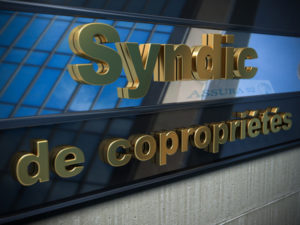 SYNDIC DE COPROPRIETE 